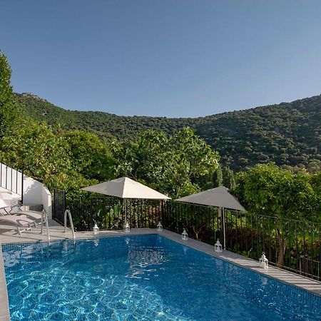 Stunning Home Benamahoma 4 Bed - Sierra Grazalema Exteriör bild