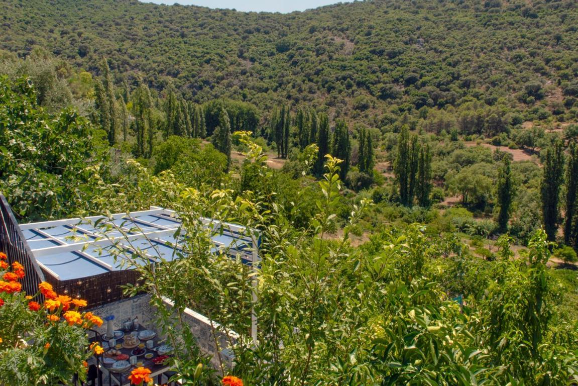 Stunning Home Benamahoma 4 Bed - Sierra Grazalema Exteriör bild